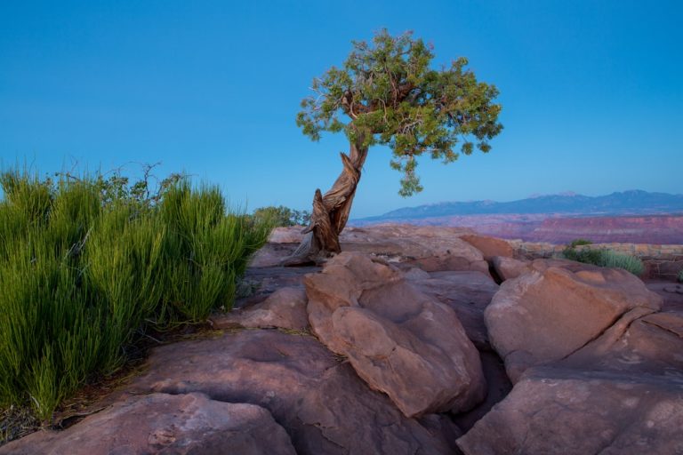 Embracing the Wild: Unleashing Your Adventurous Spirit in the Great Outdoors