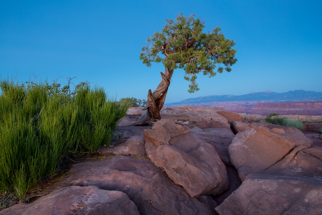 Embracing the Wild: Unleashing Your Adventurous Spirit in the Great Outdoors